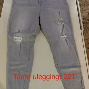 Torrid Women's Light Gray Distressed Jeggings